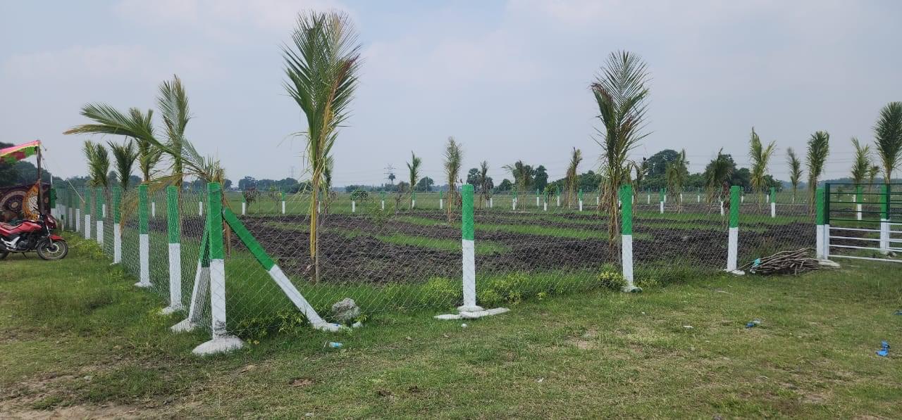 FARM LANDS WITH 40 FRUIT TREES