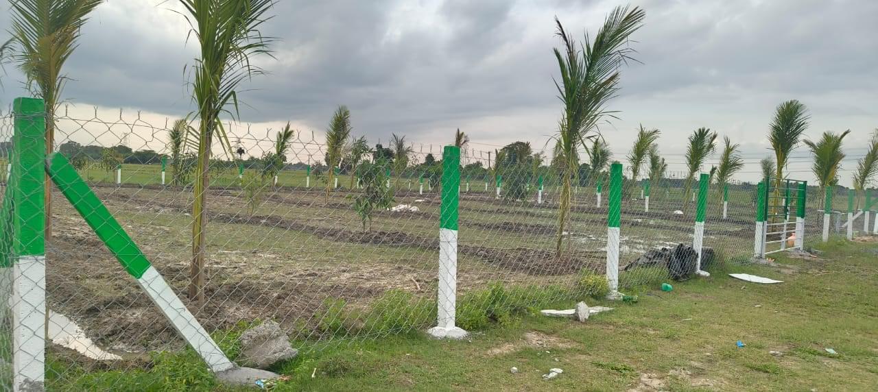 FARM LANDS WITH 40 FRUIT TREES