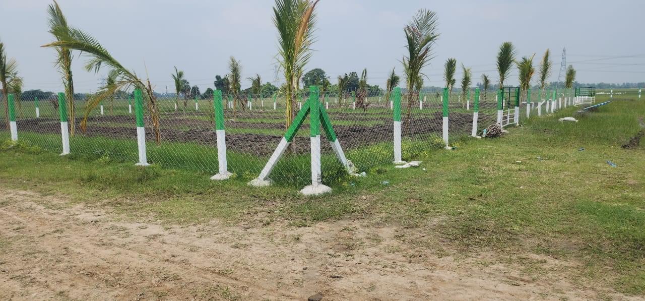 FARM LANDS WITH 40 FRUIT TREES