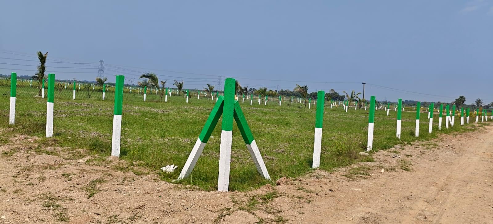 FARM LANDS WITH 40 FRUIT TREES