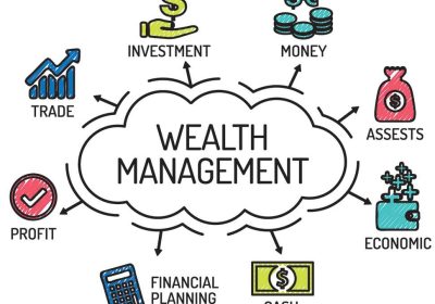 61b70ccdc5a0b.1639386317.What-is-wealth-management_60780de045c04